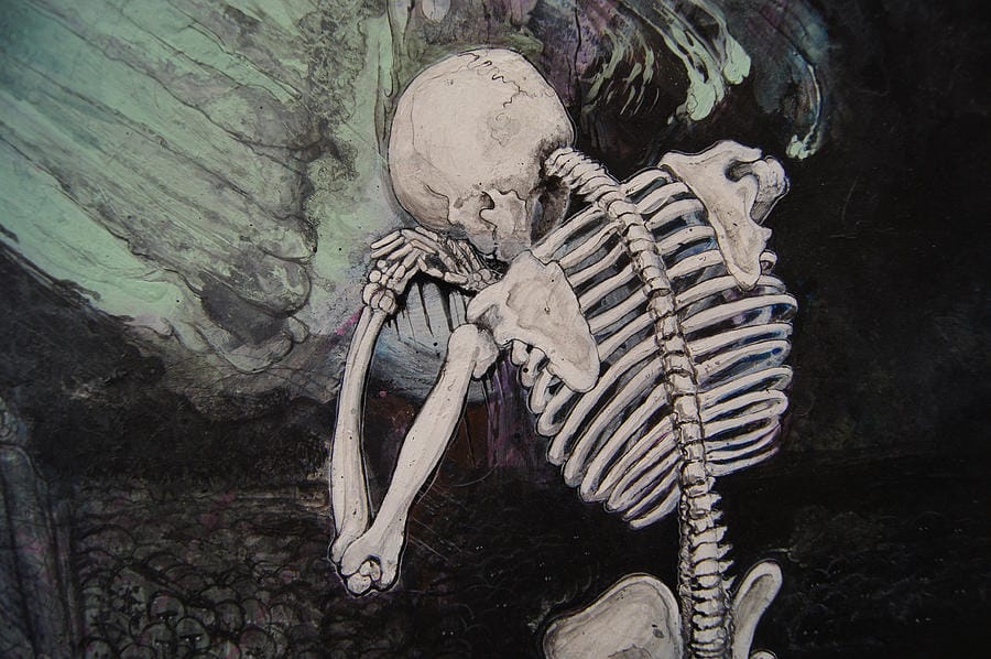 a Green Finch DETAIL skeleton crying by Jeremiah Dirt
