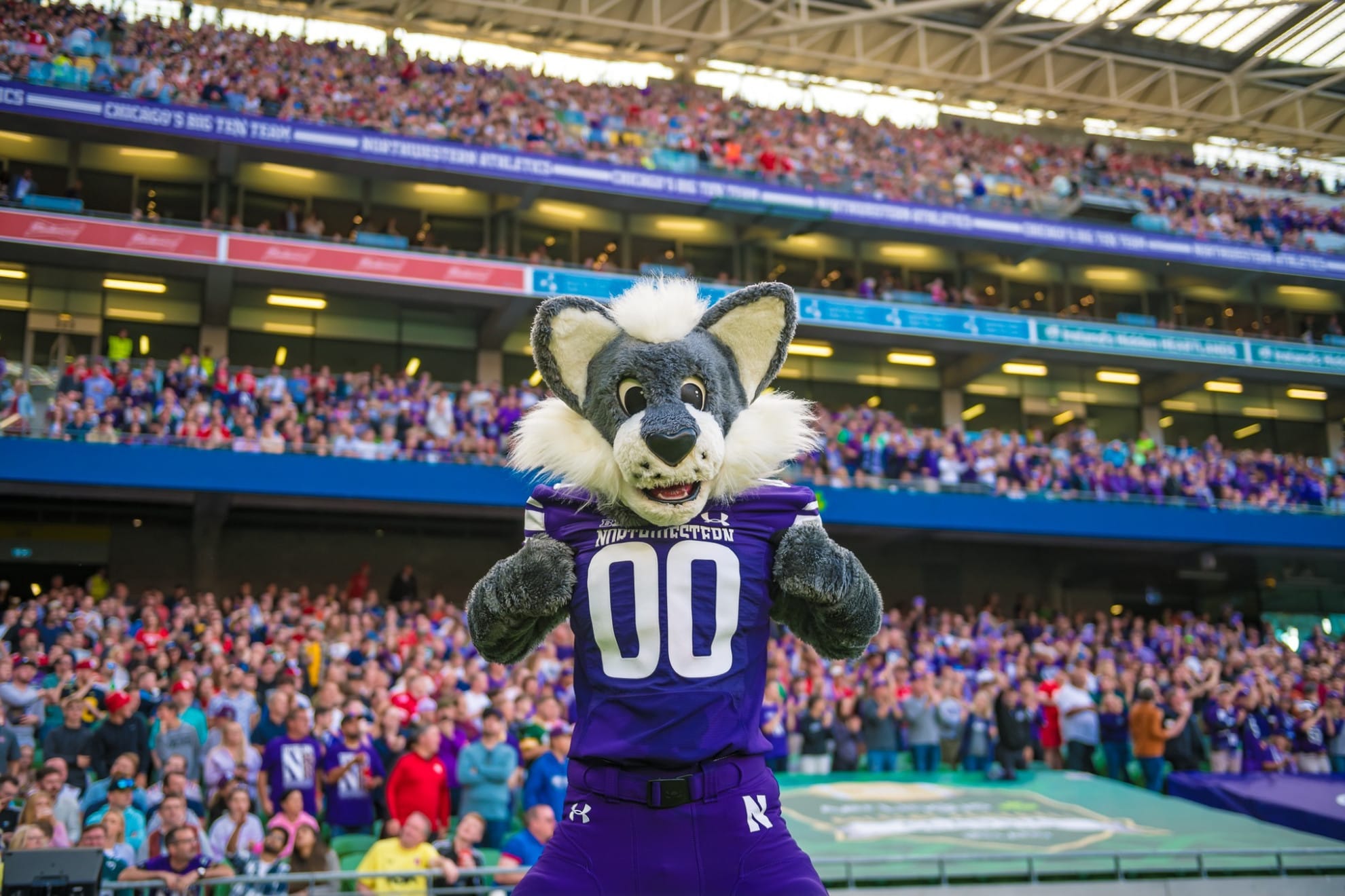 Willie the Wildcat Now Available for Private Events - Northwestern Wildcats - Official Athletics Website
