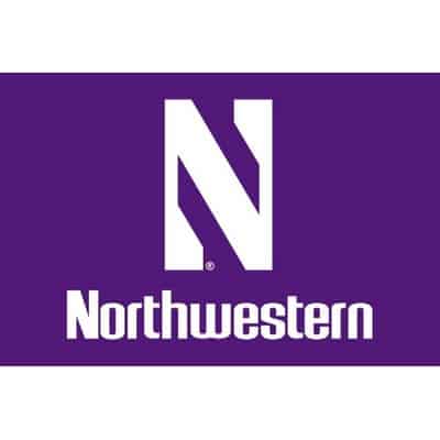 Northwestern Wildcats 2'X3' Purple Flag with White N Sewn on