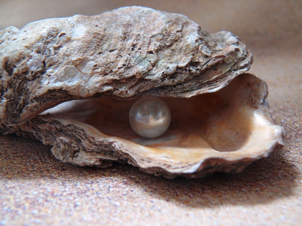 Don't wish for less Problems: The Grain of Sand creates the Pearl - Moving People to Action